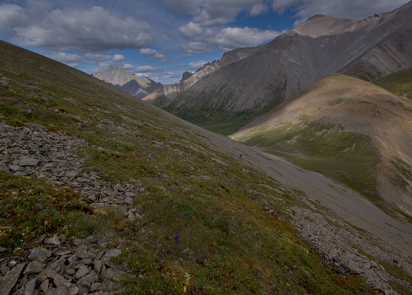 Willmore Wilderness Park, Rocky Mountains, Alberta, Canada